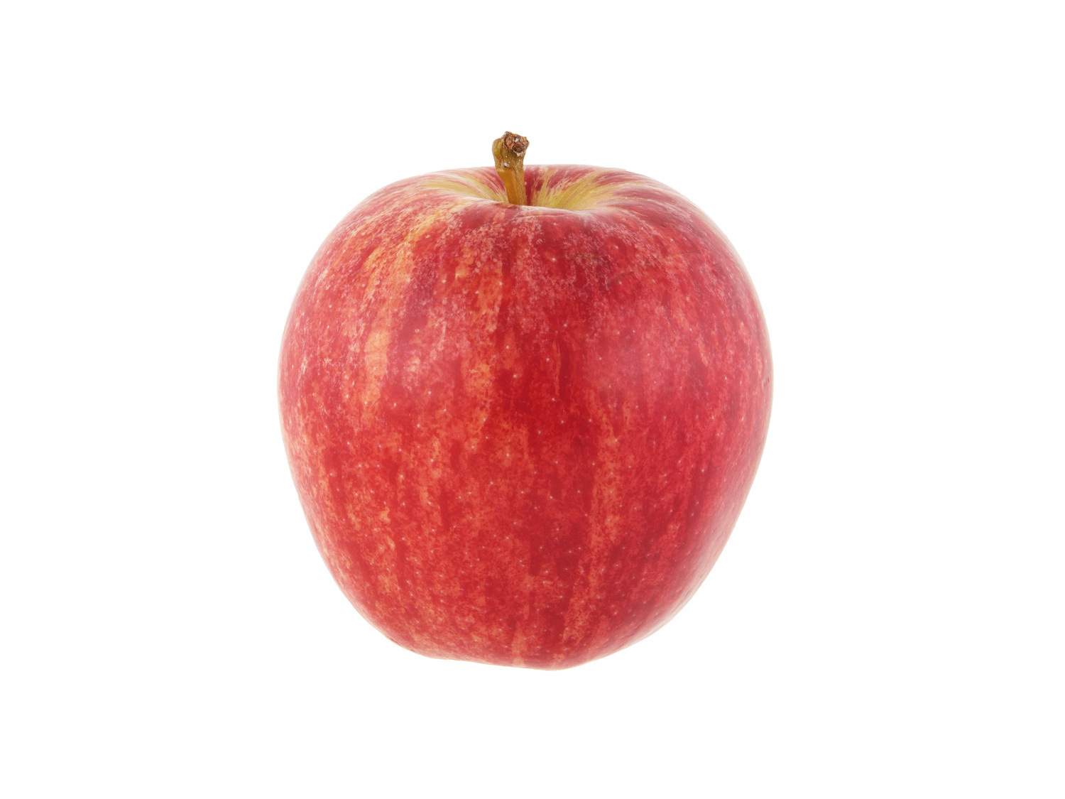 6 Pack Royal Gala Apples